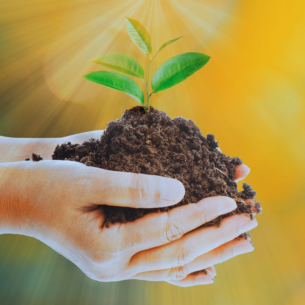 Communication animale pour une adoption